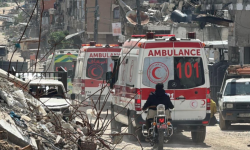 big_4MJvFDljgbaDHavIz9KkrjUZX