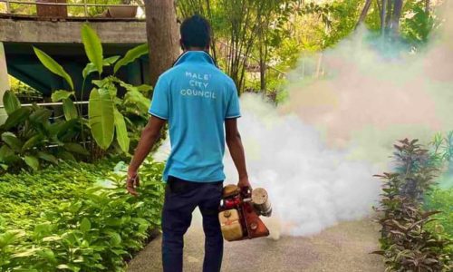 big_BMrvh8BD4Fz329WyOkCf8FHca