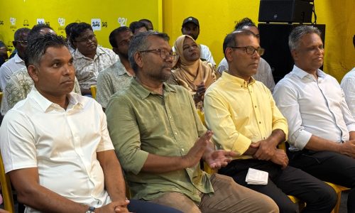 އެމްޑީޕީގެ ހަރުގެ ޖަލްސާއެއް